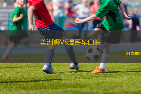 美洲獅VS溫哥華白浪